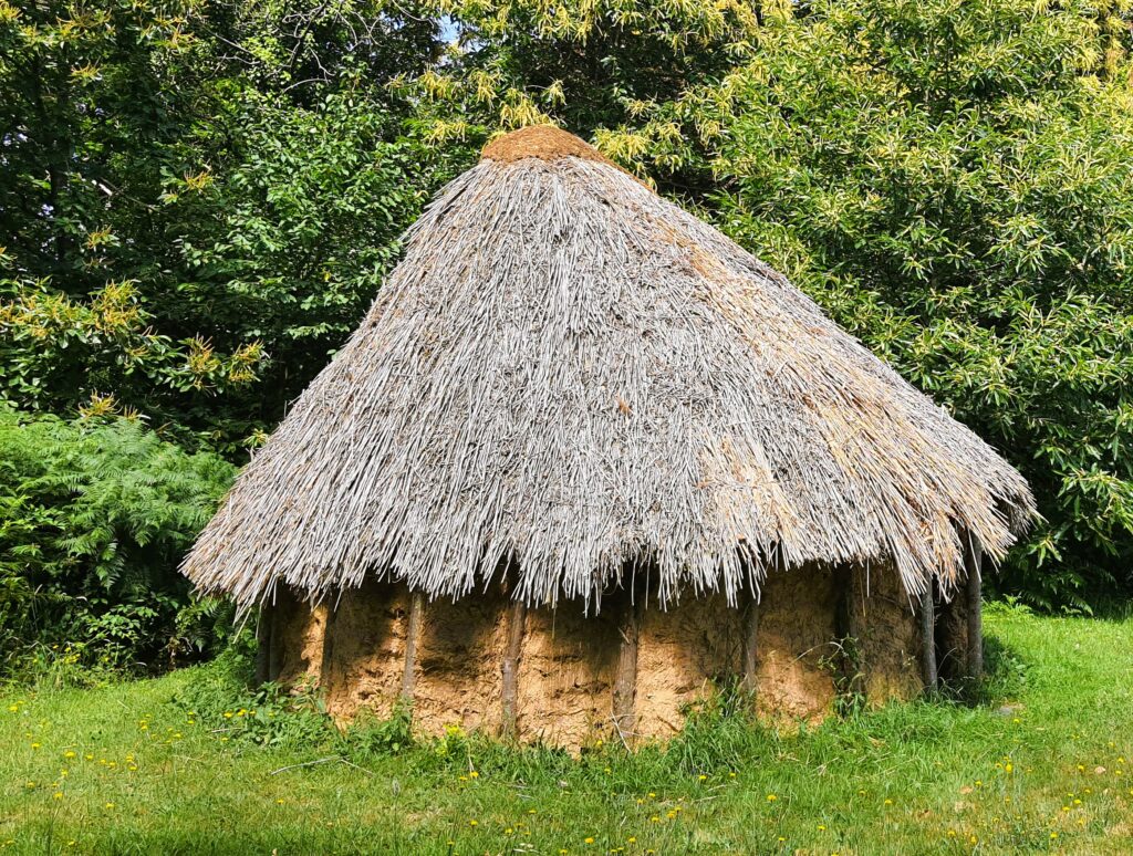 Reconstitution habitat préhistorique